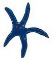 Estrela-do-Mar Lona